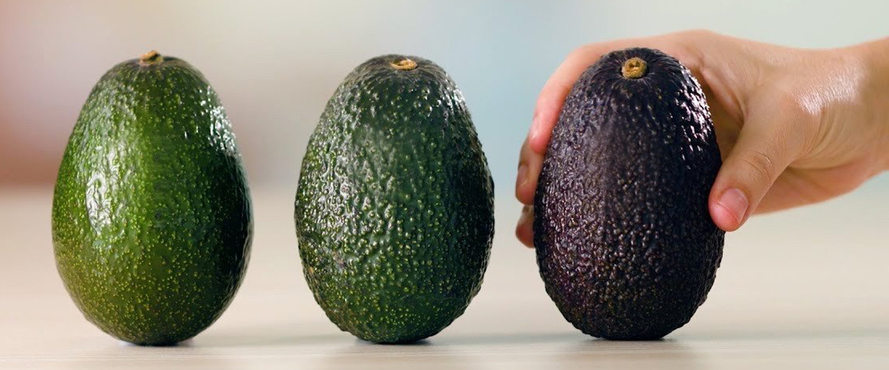 Фрукт авокадо: чем полезен, как употреблять?